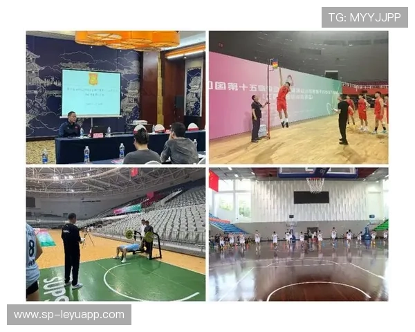 体育赛事转播质量标准化，观众体验显著提升